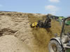 Action Photo